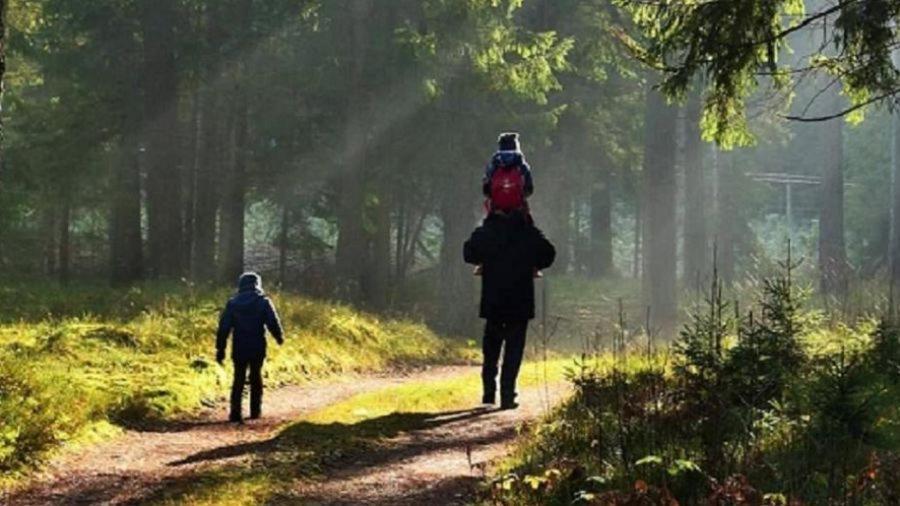 3 Kroki Do Lasu Polanica-Zdrój Esterno foto